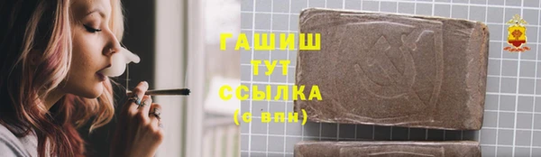 гидра Богородск