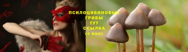 MDMA Premium VHQ Богородицк