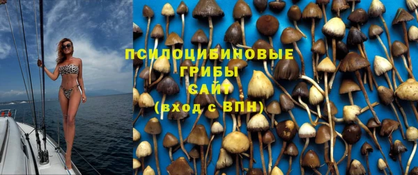 гидра Богородск