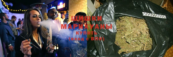 гидра Богородск