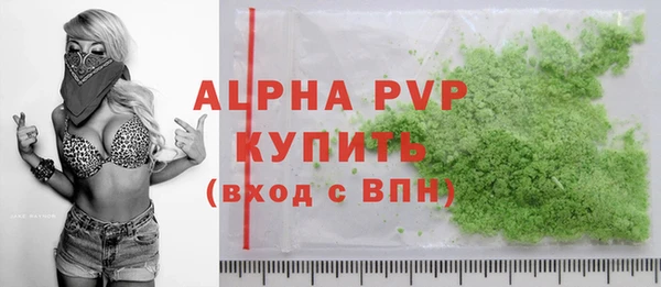 гидра Богородск