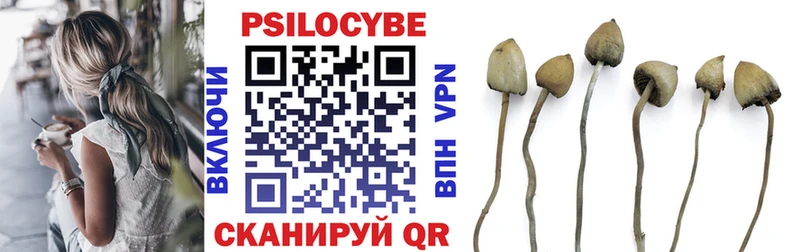 Псилоцибиновые грибы Psilocybe  Армавир 